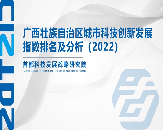 www.逼操鸡巴【成果发布】广西壮族自治区城市科技创新发展指数排名及分析（2022）